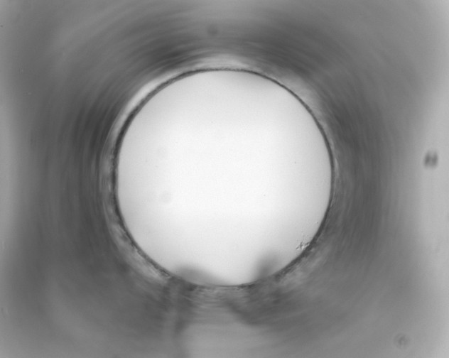 X0000090421008200708101938