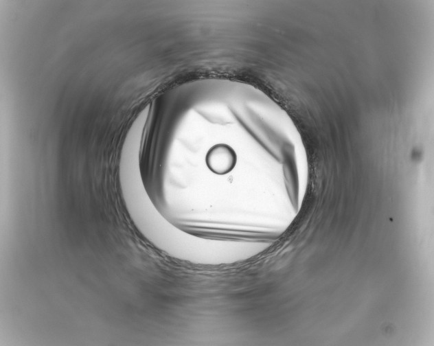 X0000090421010200708101937