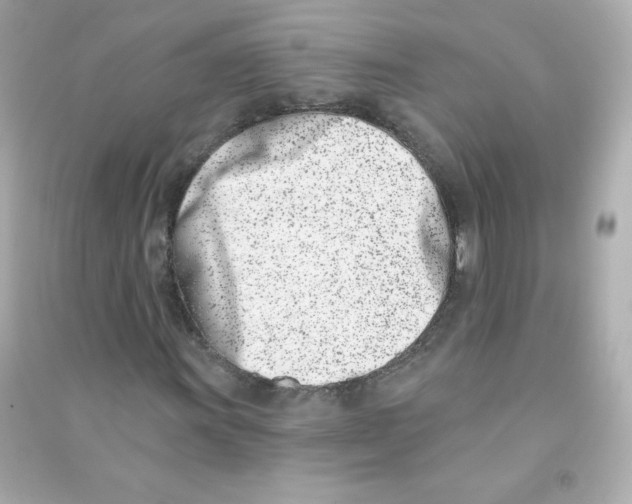 X0000090421011200708101937