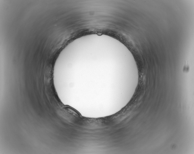 X0000090421012200708101937