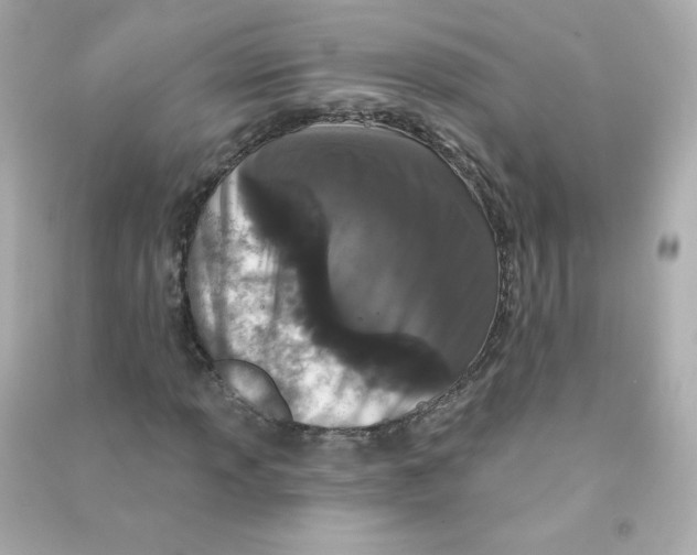 X0000090421013200708101937