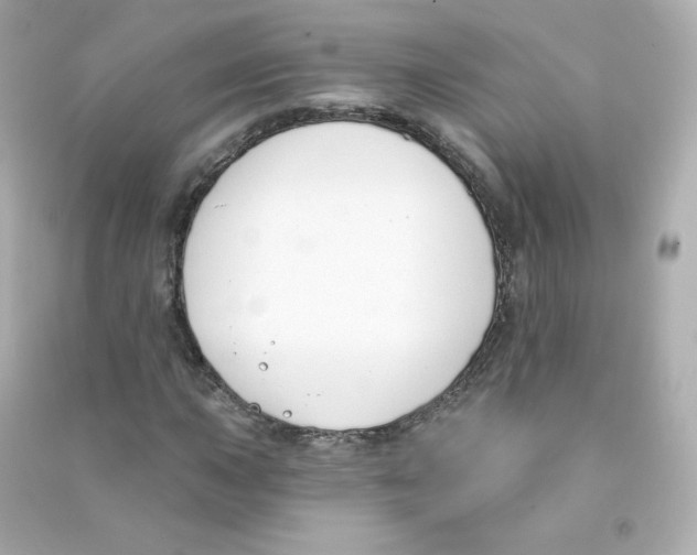 X0000090421015200708101937