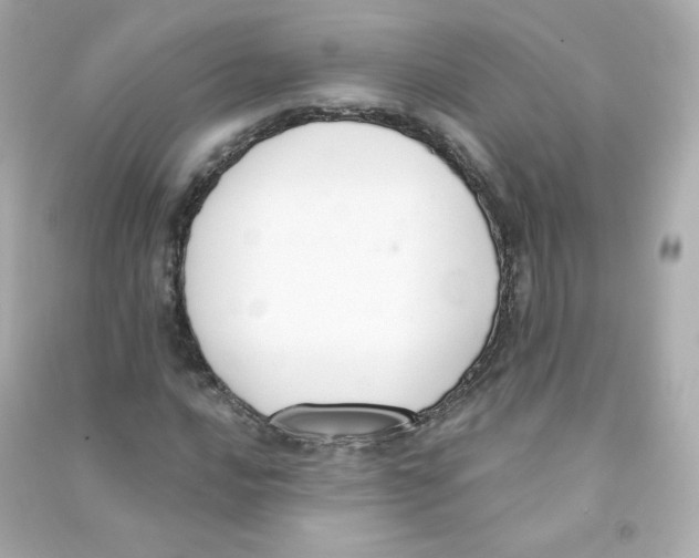 X0000090421016200708101937