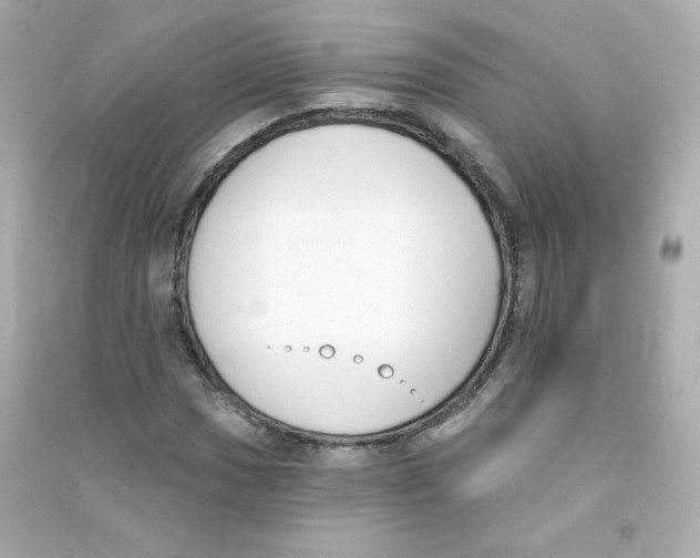 X0000090421017200708101937