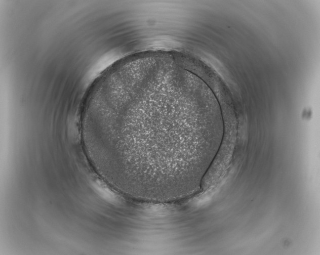 X0000090421018200708101938