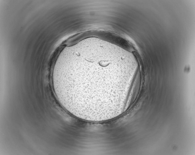 X0000090421019200708101938