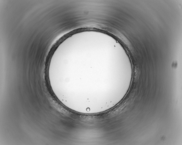 X0000090421020200708101938