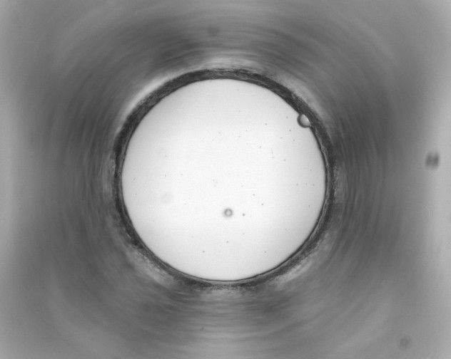 X0000090421021200708101938