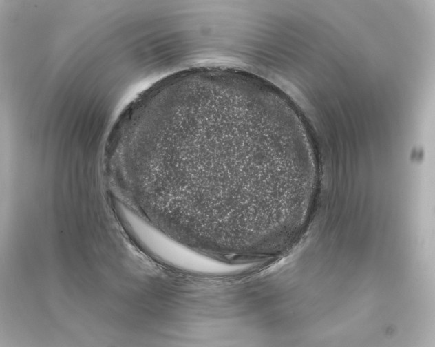 X0000090421022200708101938