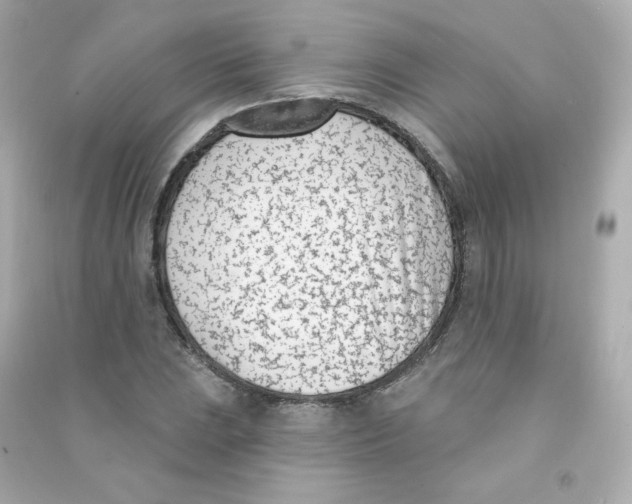 X0000090421023200708101938