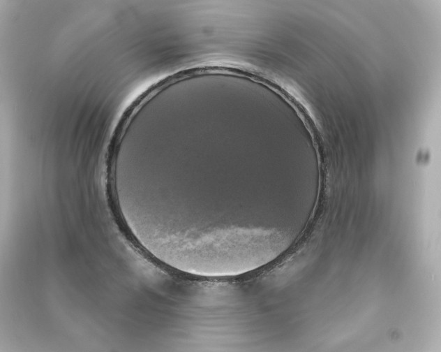 X0000090421024200708101938