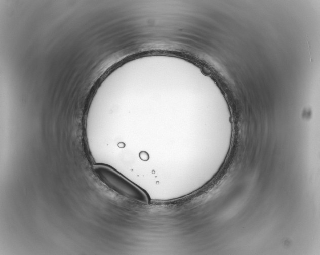 X0000090421025200708101938