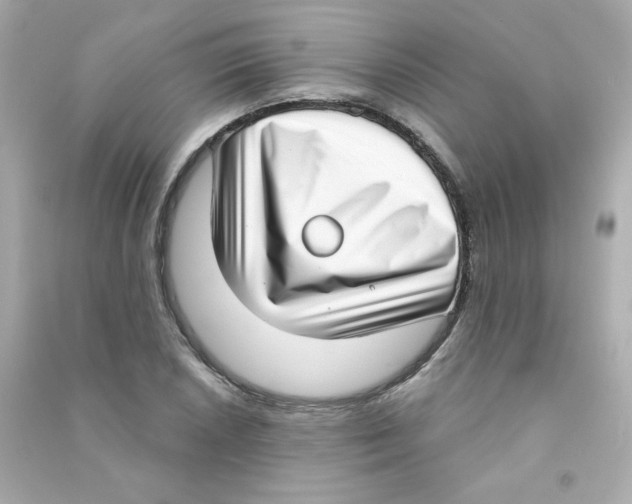 X0000090421026200708101938