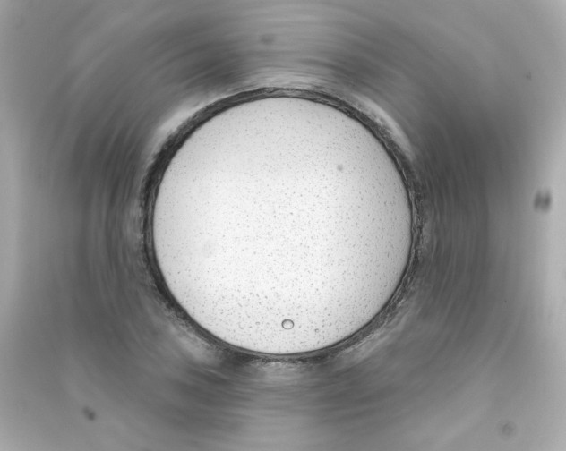 X0000090421027200708101938
