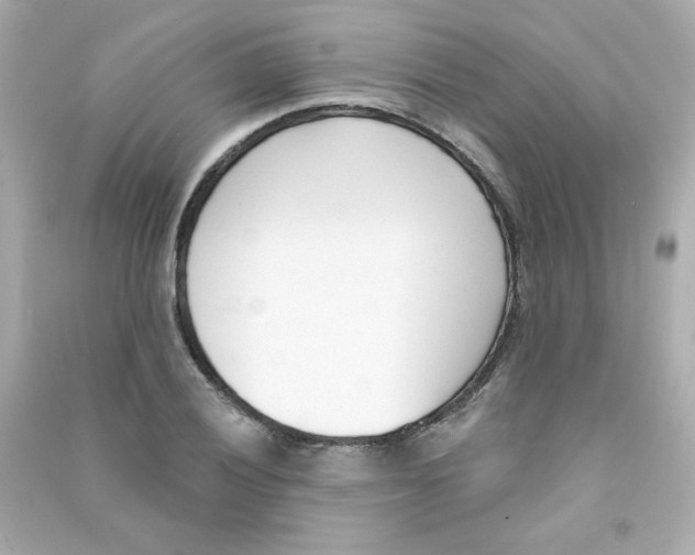 X0000090421028200708101938