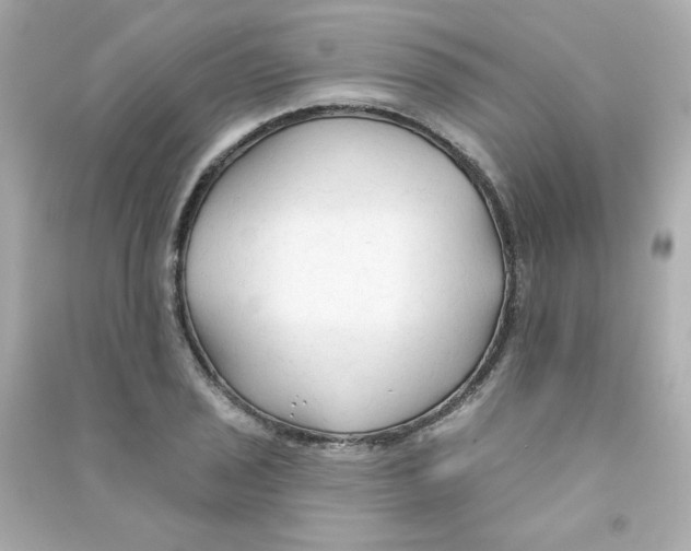 X0000090421029200708101938