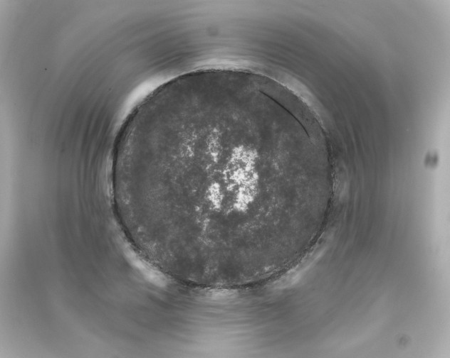 X0000090421030200708101938