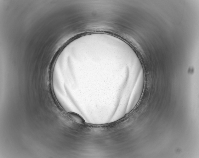 X0000090421031200708101938