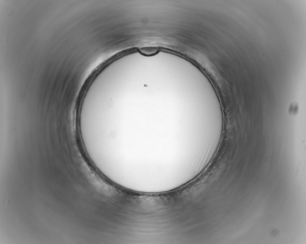 X0000090421032200708101938