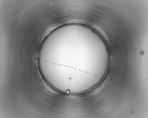 X0000090421033200708101938