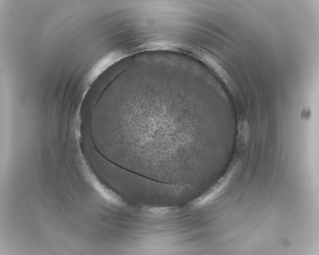 X0000090421034200708101938