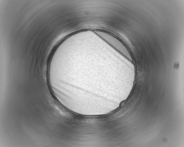 X0000090421035200708101938