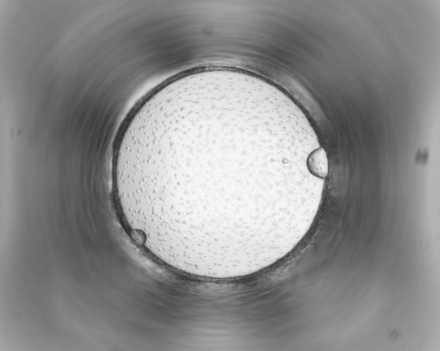 X0000090421036200708101938