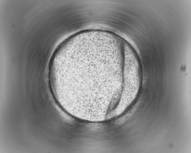X0000090421037200708101938
