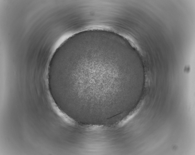 X0000090421038200708101938