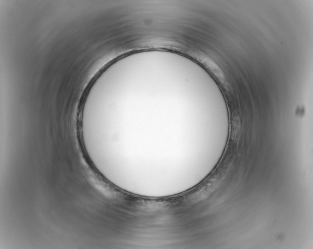 X0000090421039200708101938