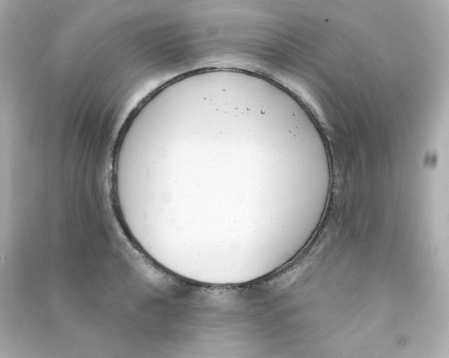 X0000090421040200708101938