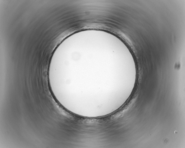 X0000090421041200708101938