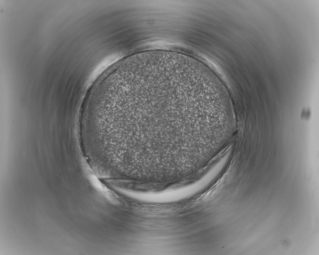 X0000090421042200708101938