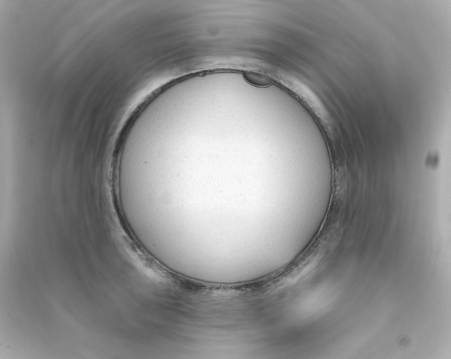 X0000090421043200708101938