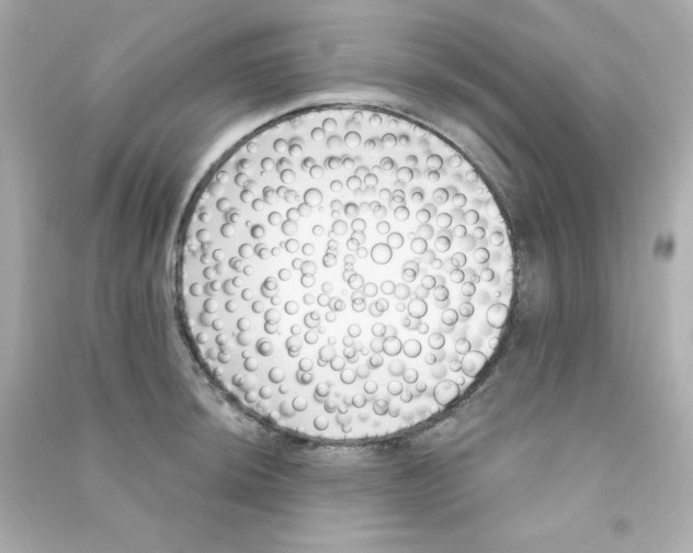 X0000090421044200708101938