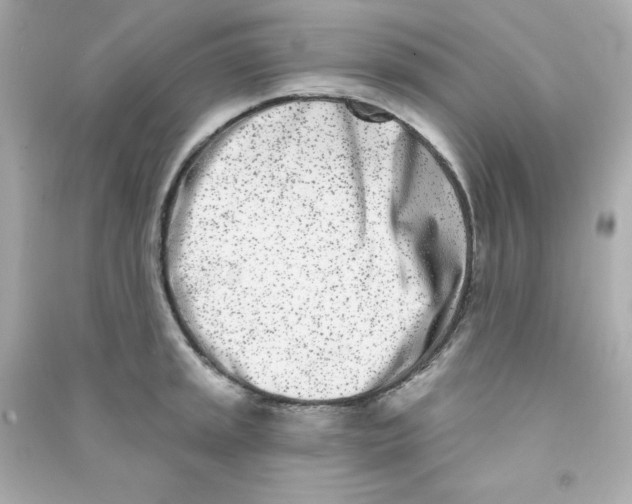 X0000090421045200708101938