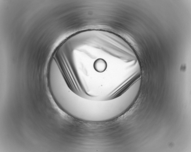 X0000090421046200708101938