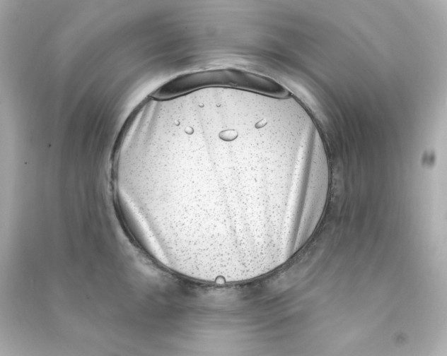 X0000090421047200708101938