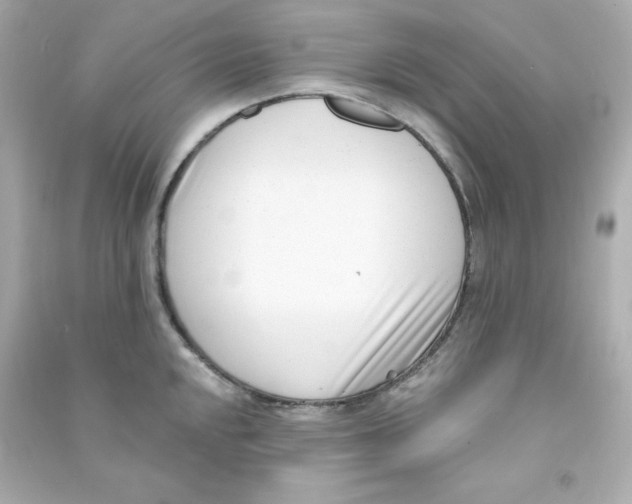 X0000090421048200708101938
