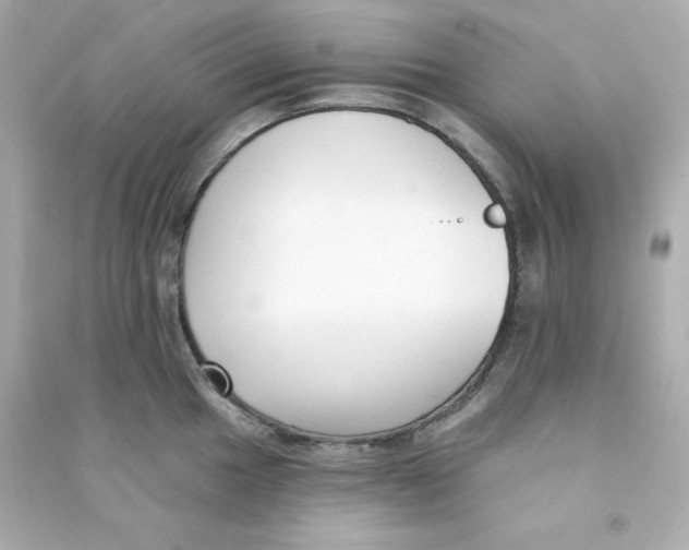 X0000090421049200708101938