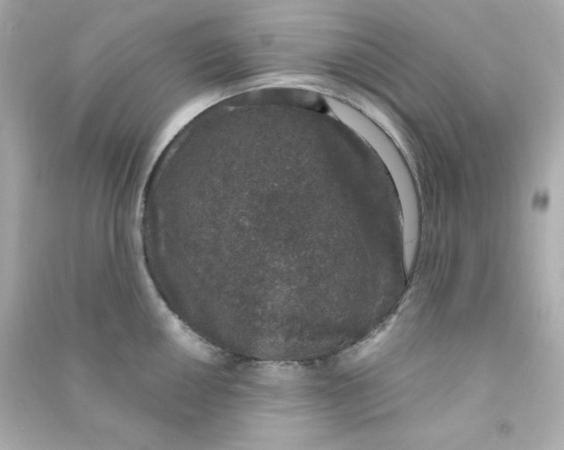 X0000090421050200708101938