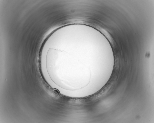 X0000090421051200708101938