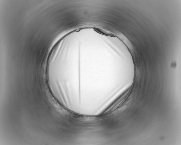 X0000090421052200708101938