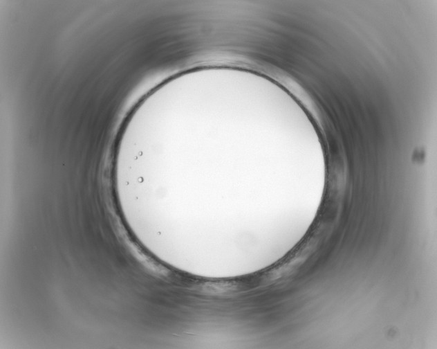 X0000090421053200708101938