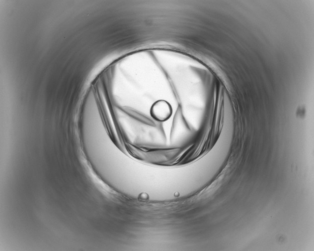 X0000090421054200708101938