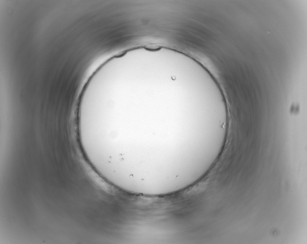 X0000090421056200708101938