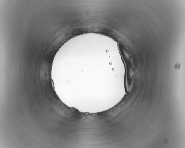 X0000090421058200708101937