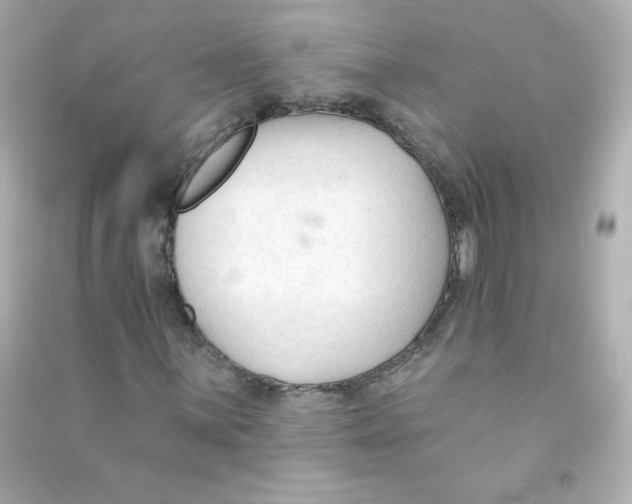 X0000090421059200708101937