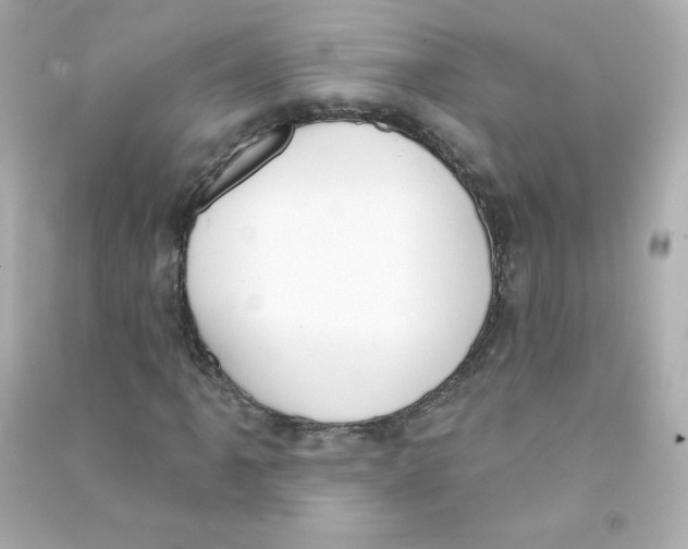 X0000090421061200708101937