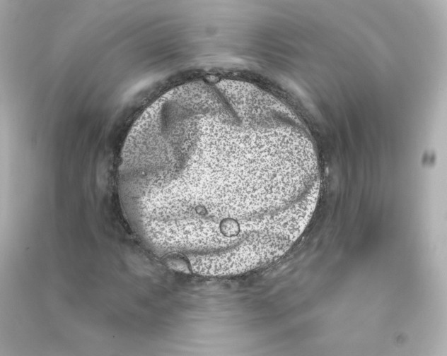 X0000090421063200708101937